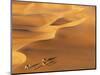 Tenere Desert, Camel Caravan Travelling Through the Air Mountains and Tenere Desert, Niger-Paul Harris-Mounted Photographic Print