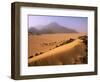 Tenere Desert, Camel Caravan Travelling Through the Air Mountains and Tenere Desert, Niger-Paul Harris-Framed Photographic Print