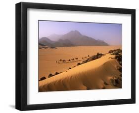 Tenere Desert, Camel Caravan Travelling Through the Air Mountains and Tenere Desert, Niger-Paul Harris-Framed Photographic Print