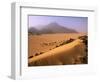 Tenere Desert, Camel Caravan Travelling Through the Air Mountains and Tenere Desert, Niger-Paul Harris-Framed Photographic Print