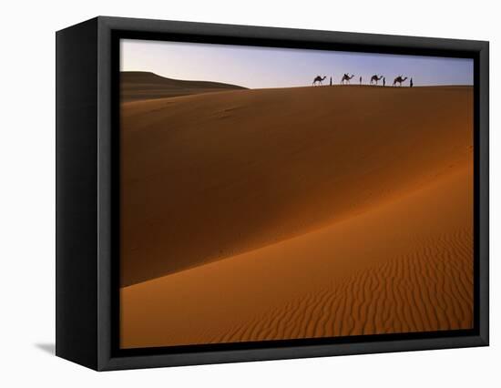 Tenere Desert, Camel Caravan Travelling Through the Air Mountains and Tenere Desert, Niger-Paul Harris-Framed Stretched Canvas