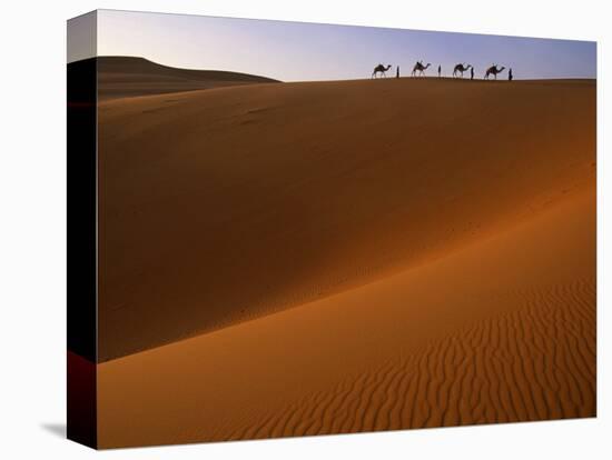 Tenere Desert, Camel Caravan Travelling Through the Air Mountains and Tenere Desert, Niger-Paul Harris-Stretched Canvas