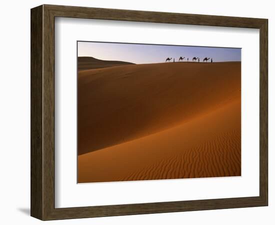 Tenere Desert, Camel Caravan Travelling Through the Air Mountains and Tenere Desert, Niger-Paul Harris-Framed Photographic Print