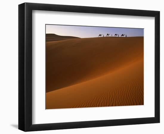 Tenere Desert, Camel Caravan Travelling Through the Air Mountains and Tenere Desert, Niger-Paul Harris-Framed Photographic Print