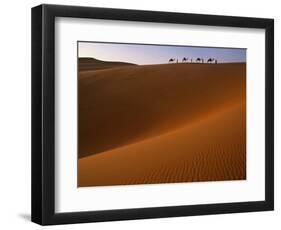 Tenere Desert, Camel Caravan Travelling Through the Air Mountains and Tenere Desert, Niger-Paul Harris-Framed Photographic Print