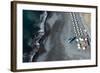 Tenerife, La Caleta, Playa De La Enramada, Beach Bar, Paraglider-Frank Fleischmann-Framed Photographic Print