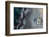 Tenerife, La Caleta, Playa De La Enramada, Beach Bar, Paraglider-Frank Fleischmann-Framed Photographic Print