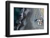 Tenerife, La Caleta, Playa De La Enramada, Beach Bar, Paraglider-Frank Fleischmann-Framed Photographic Print