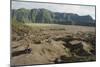 Tengger Caldera-Tony Waltham-Mounted Photographic Print