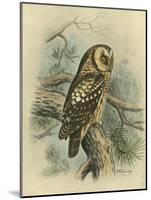 Tengmalm's Owl-F. w. Frohawk-Mounted Art Print