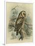 Tengmalm's Owl-F. w. Frohawk-Framed Art Print