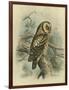 Tengmalm's Owl-F. w. Frohawk-Framed Art Print