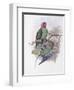 Tenimber Parrot-John Gould-Framed Giclee Print