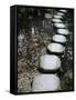 Tenjuan Wet Garden in Nanzen Ji Temple, Kyoto, Japan, Asia-null-Framed Stretched Canvas