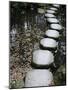 Tenjuan Wet Garden in Nanzen Ji Temple, Kyoto, Japan, Asia-null-Mounted Photographic Print