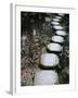 Tenjuan Wet Garden in Nanzen Ji Temple, Kyoto, Japan, Asia-null-Framed Photographic Print