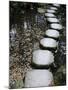 Tenjuan Wet Garden in Nanzen Ji Temple, Kyoto, Japan, Asia-null-Mounted Photographic Print