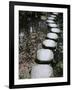 Tenjuan Wet Garden in Nanzen Ji Temple, Kyoto, Japan, Asia-null-Framed Photographic Print