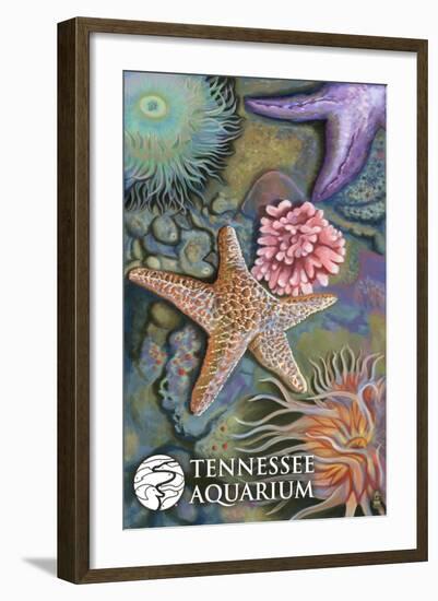 Tennessee Aquarium - Tide Pool-Lantern Press-Framed Art Print