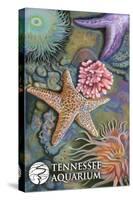 Tennessee Aquarium - Tide Pool-Lantern Press-Stretched Canvas