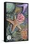 Tennessee Aquarium - Tide Pool-Lantern Press-Framed Stretched Canvas