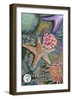 Tennessee Aquarium - Tide Pool-Lantern Press-Framed Art Print