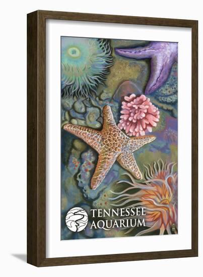 Tennessee Aquarium - Tide Pool-Lantern Press-Framed Art Print