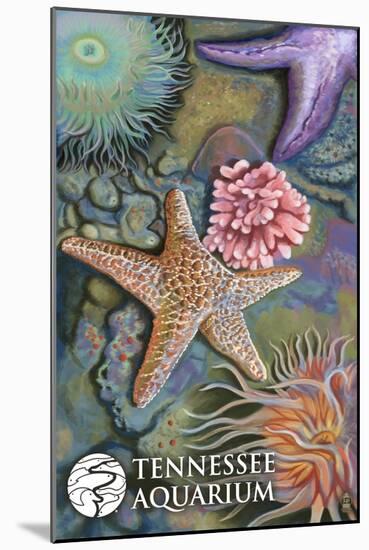 Tennessee Aquarium - Tide Pool-Lantern Press-Mounted Art Print