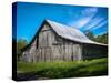 Tennessee Barn-Brian Wilson-Stretched Canvas