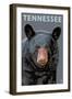 Tennessee - Black Bear Up Close-Lantern Press-Framed Art Print