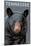Tennessee - Black Bear Up Close-Lantern Press-Mounted Art Print