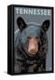 Tennessee - Black Bear Up Close-Lantern Press-Framed Stretched Canvas