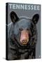 Tennessee - Black Bear Up Close-Lantern Press-Stretched Canvas