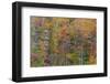 Tennessee, Fall Creek Falls State Park. Cliff and Forest in Autumn-Don Paulson-Framed Photographic Print