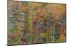 Tennessee, Fall Creek Falls State Park. Cliff and Forest in Autumn-Don Paulson-Mounted Photographic Print