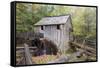 Tennessee, Great Smoky Mountains, Cades Cove, John P. Cable Grist Mill-Jamie & Judy Wild-Framed Stretched Canvas