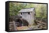 Tennessee, Great Smoky Mountains, Cades Cove, John P. Cable Grist Mill-Jamie & Judy Wild-Framed Stretched Canvas