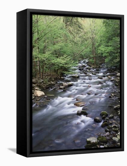 Tennessee, Great Smoky Mountains National Park, a Mountain Stream-Christopher Talbot Frank-Framed Stretched Canvas