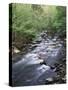 Tennessee, Great Smoky Mountains National Park, a Mountain Stream-Christopher Talbot Frank-Stretched Canvas