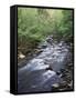 Tennessee, Great Smoky Mountains National Park, a Mountain Stream-Christopher Talbot Frank-Framed Stretched Canvas