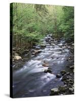 Tennessee, Great Smoky Mountains National Park, a Mountain Stream-Christopher Talbot Frank-Stretched Canvas