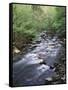 Tennessee, Great Smoky Mountains National Park, a Mountain Stream-Christopher Talbot Frank-Framed Stretched Canvas