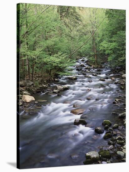 Tennessee, Great Smoky Mountains National Park, a Mountain Stream-Christopher Talbot Frank-Stretched Canvas
