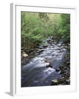 Tennessee, Great Smoky Mountains National Park, a Mountain Stream-Christopher Talbot Frank-Framed Premium Photographic Print