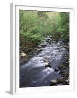 Tennessee, Great Smoky Mountains National Park, a Mountain Stream-Christopher Talbot Frank-Framed Premium Photographic Print