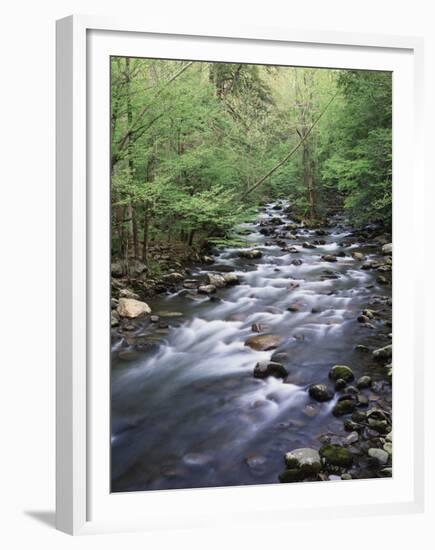 Tennessee, Great Smoky Mountains National Park, a Mountain Stream-Christopher Talbot Frank-Framed Premium Photographic Print