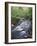 Tennessee, Great Smoky Mountains National Park, a Mountain Stream-Christopher Talbot Frank-Framed Photographic Print