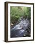 Tennessee, Great Smoky Mountains National Park, a Mountain Stream-Christopher Talbot Frank-Framed Photographic Print