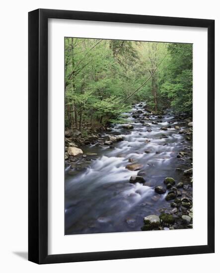 Tennessee, Great Smoky Mountains National Park, a Mountain Stream-Christopher Talbot Frank-Framed Photographic Print