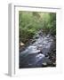 Tennessee, Great Smoky Mountains National Park, a Mountain Stream-Christopher Talbot Frank-Framed Photographic Print